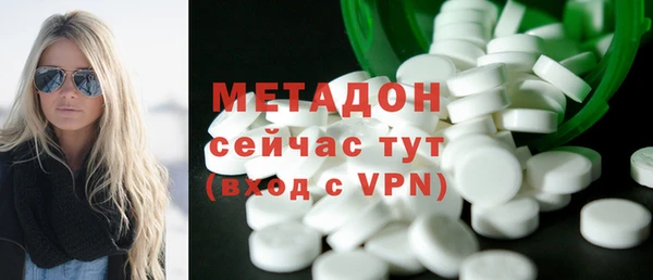 индика Алексин