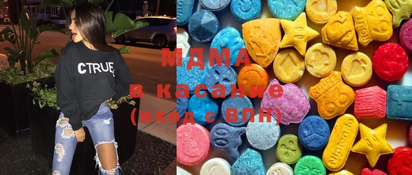 индика Алексин